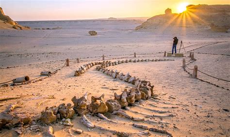 De Witte Woestijn: Een Verborgen Juweel van Stilte en Mysterie in Wadi El-Hitan!