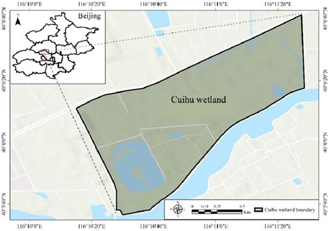  De Verborgen Schoonheid van de Cuihu Hetang Wetlands: Een Paradijs voor Vogelaars en Fotografen!